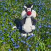 CAT SYLVESTER